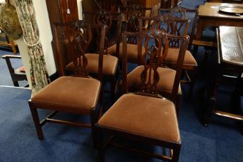 Engelse set van 6 stoelen, DSC04524